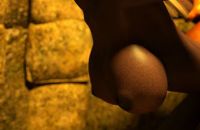 Giochi porno Minecraft & HornyCraft